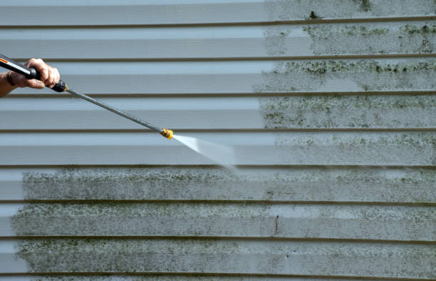Best House Exterior Washing  in Epworth, IA