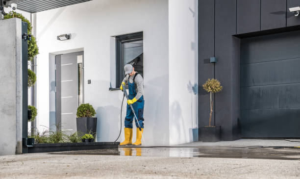 Best Roof Washing  in Epworth, IA